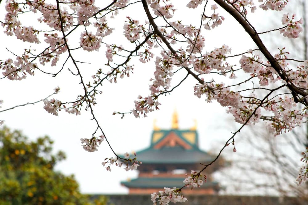 �Ծ��������������ƽ⡢�������Ƶ�