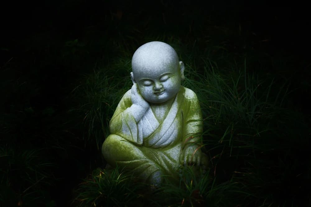 ��������������ӣ�Ϊ�εò���