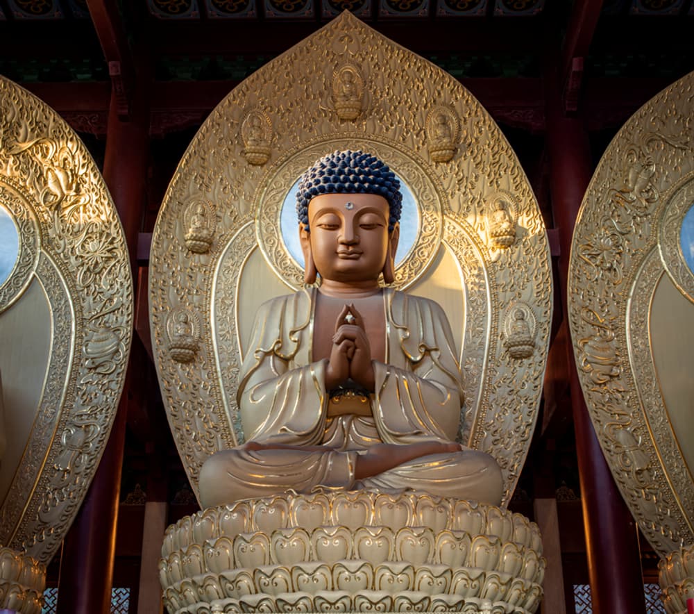 �������ķ����ܵô��ǻ�