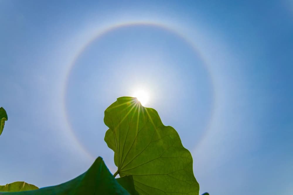 ������ת����ʽ������