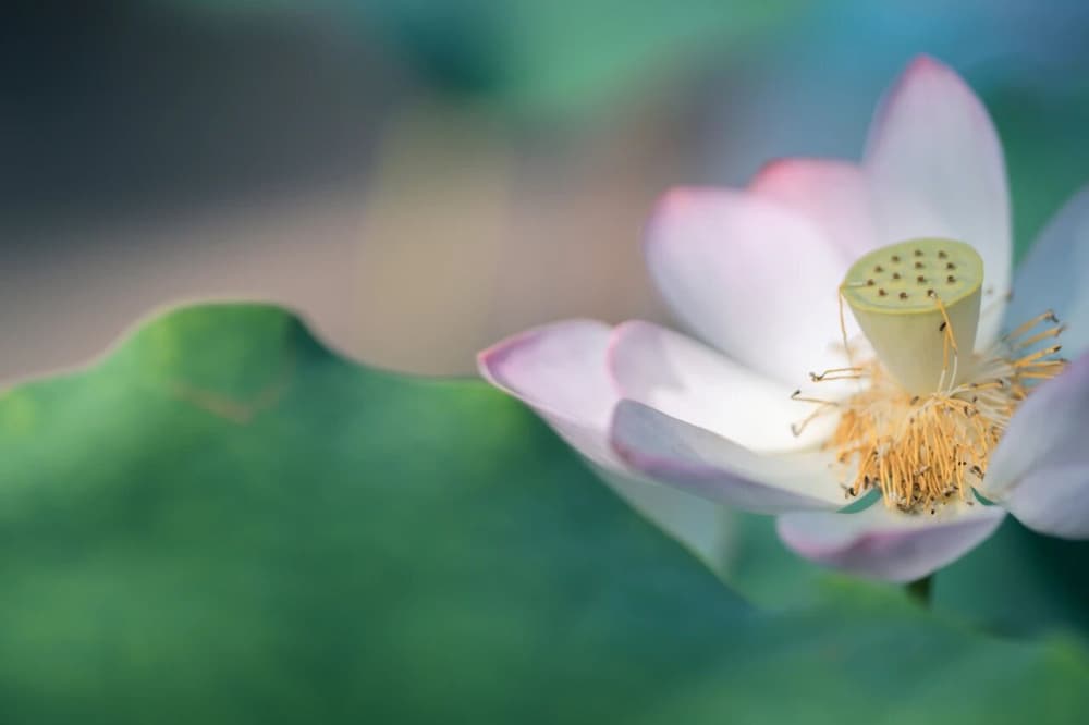 ����������֮�����ɷ�֮���Խ�