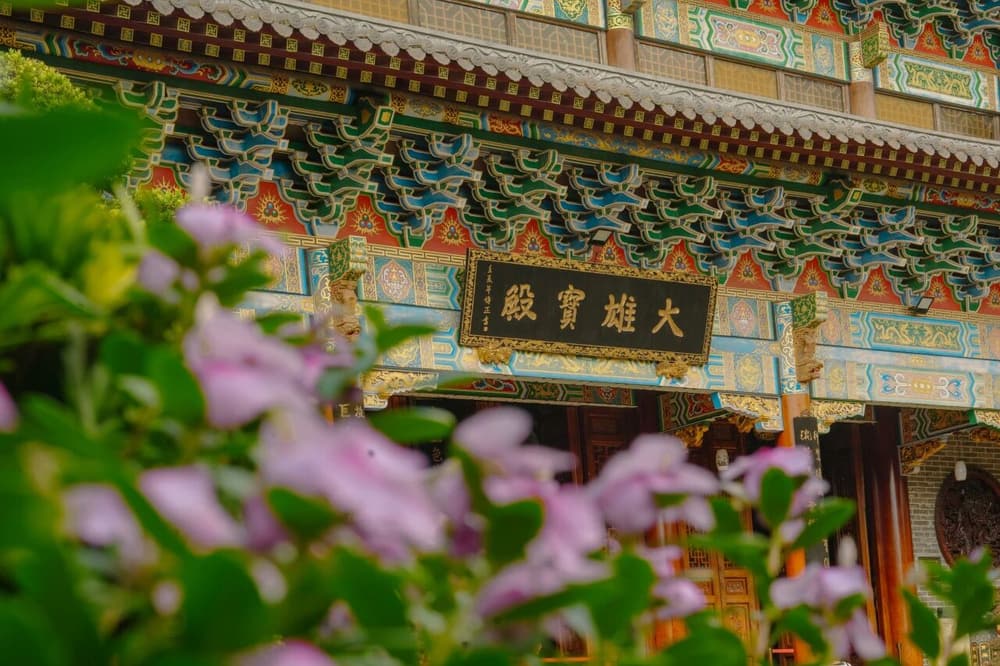 忍辱以积大德,这句话很重要