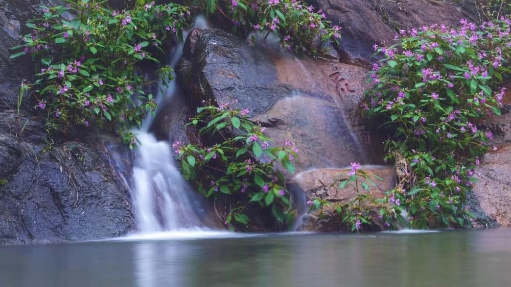 ��ʮ�ֹ������޸���