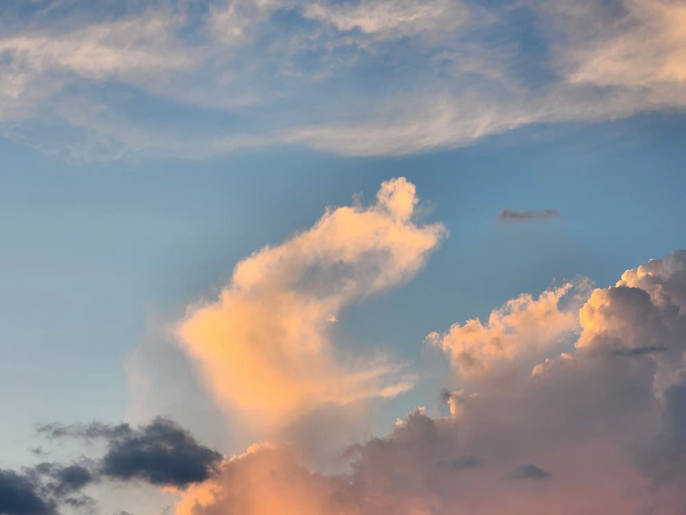 ӡ���ʦ��������ħ��