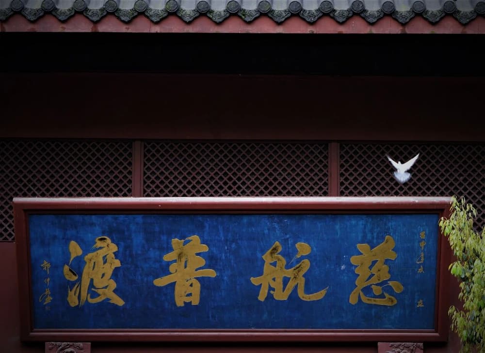 û�����������Ե�������Ǿ��������ָ��