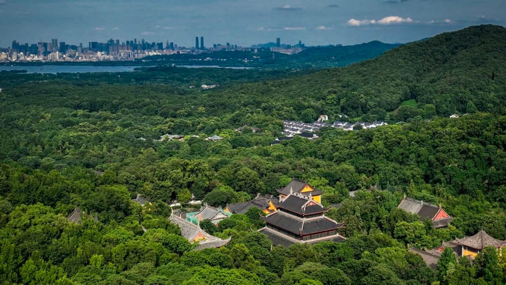 ������ʤ�����ᾭ������������Ե