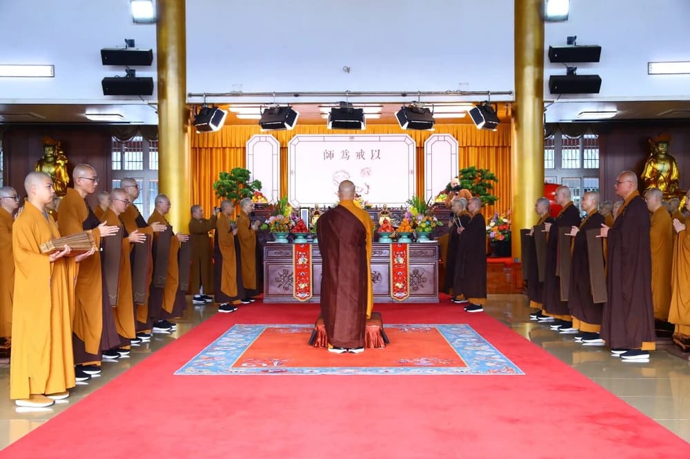 ��������ò�Ҫ����è��