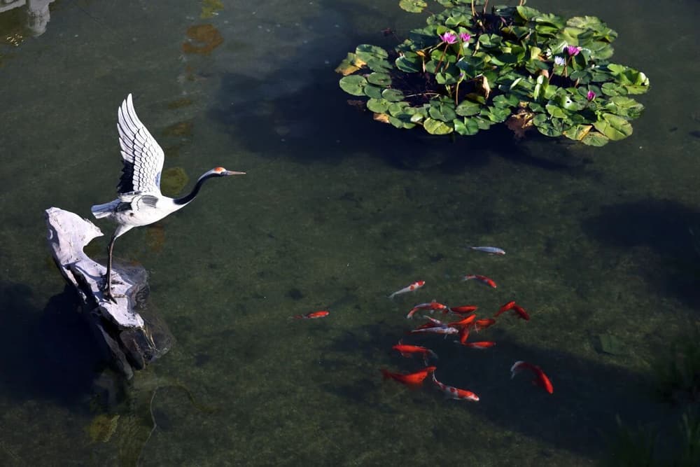 ������ɱ��֮��ɱ���ǳ���֮��