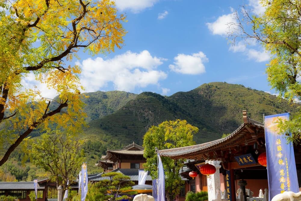 ����жϻٰ������������ﱨ�����ز��