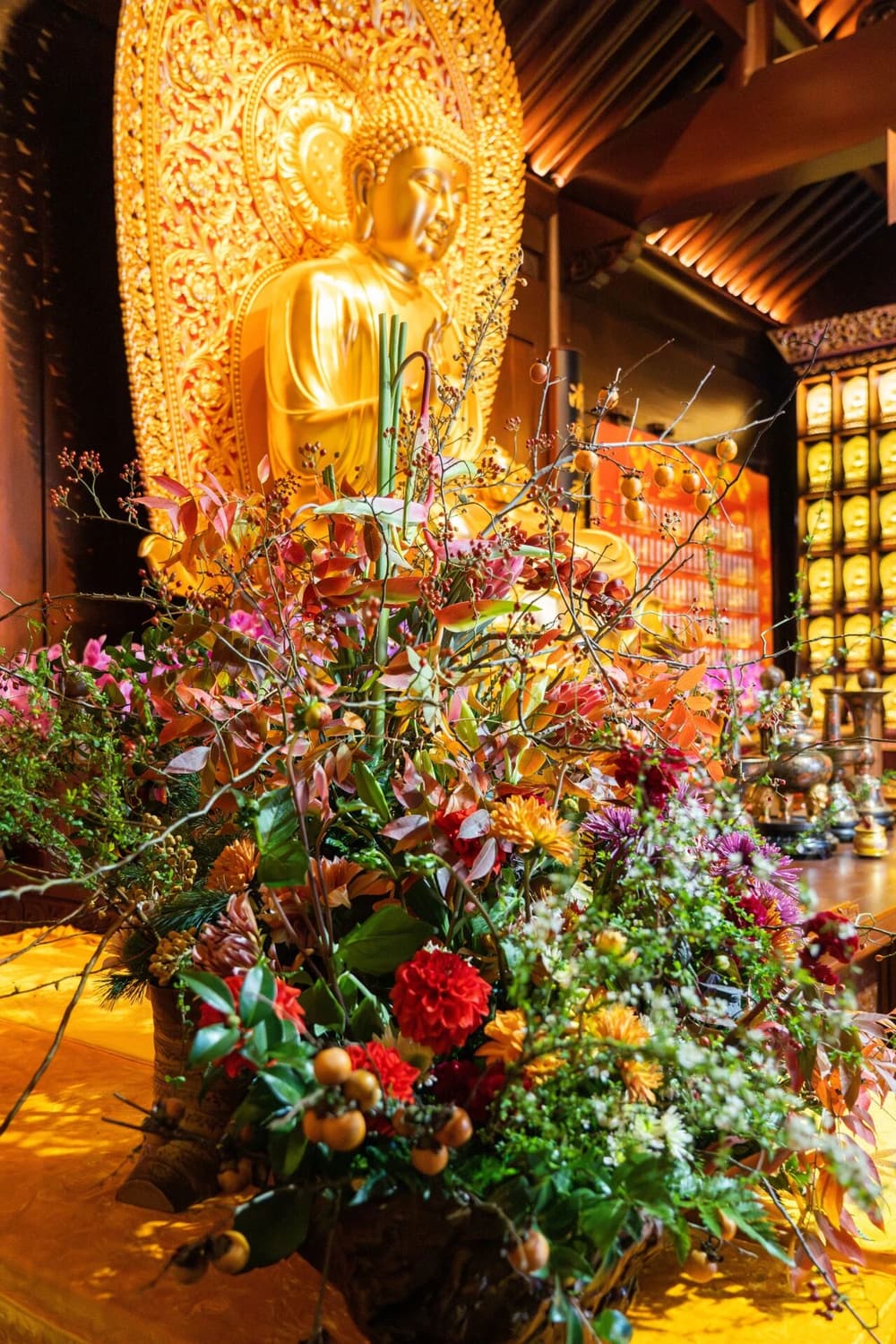 ����������ܹ�ݣ���ʲô��������ȡ��