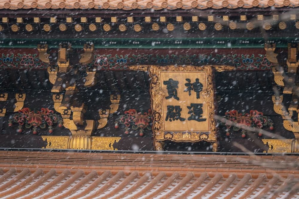 ����������Ϊͬһ����Ϊ����Ү