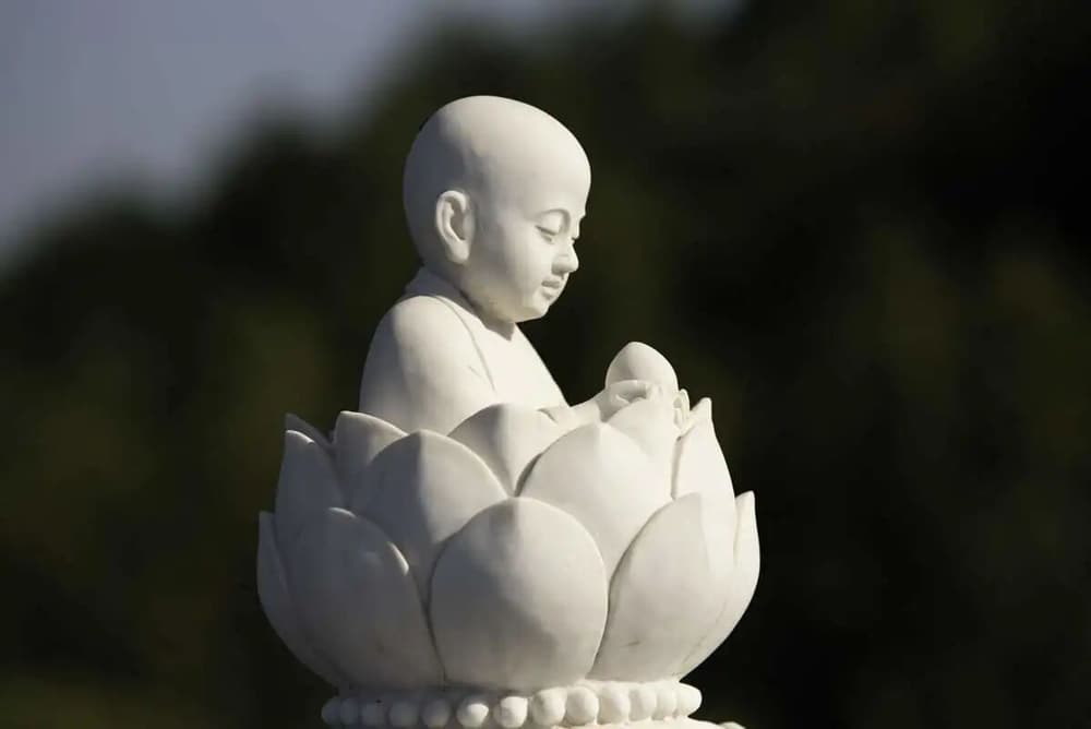 ��Ҫ����������һ��Ҫ���С�