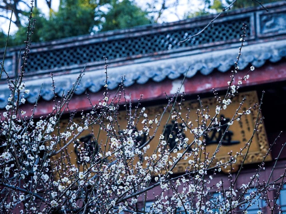 ������ת���鲻��������ݾͲ�����