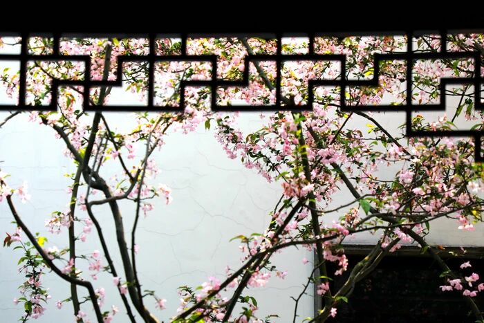 ����Ⱥ�Ӧ���İ�ס�����