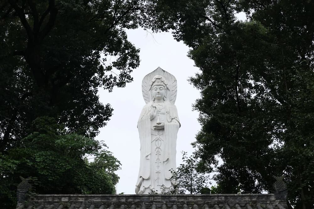 �����д�ͻ�Ƶģ�һ��Ҫ��������������